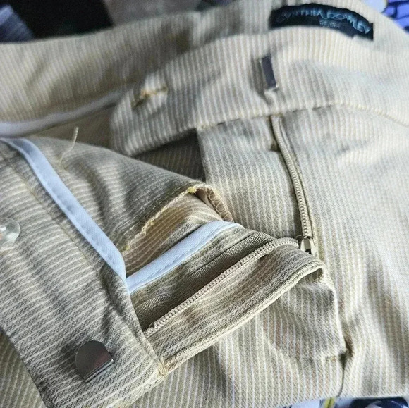 Cynthia Rowley Cropped Ankle Pants Pin Stripe (sz 10) - Picture 1 of 6